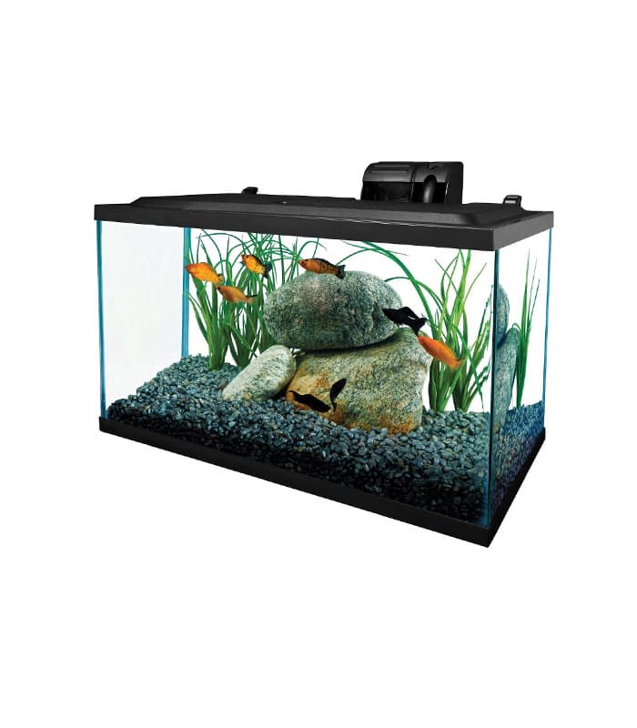 pet-product-more-pets-fish-8-0.jpg Tetra Glass Aquarium - Image 1
