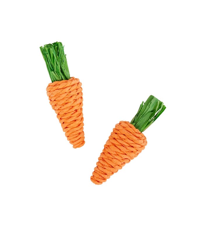 pet-product-more-pets-rodents-13-0.jpg Frisco Carrot Small Pet Toy - Image 1