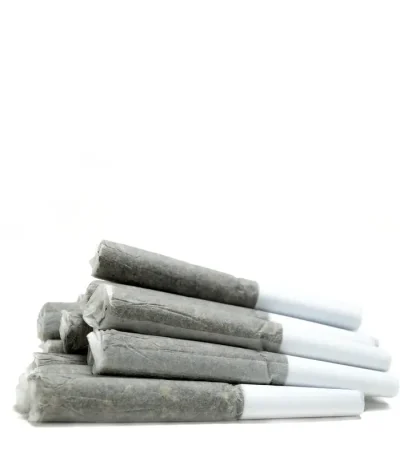 pile of pre roll cones with white tips