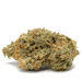 Sativa Strains