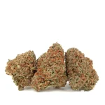 three god bud strain buds