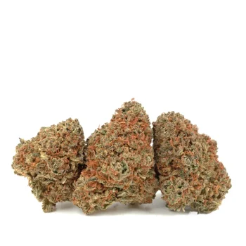 three god bud strain buds