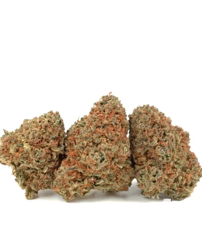 three god bud strain buds