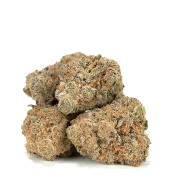 3-golden-goat-marijuana-buds