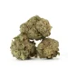 3 lemonatti marijuana buds