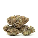 3-pink-lemonade-buds