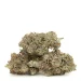3-tom-ford-pink-kush-buds