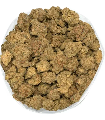 9LB-Hammer-bulk-buds