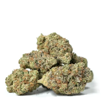 A cluster of El Chapo Weed