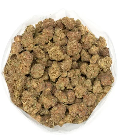 Acadian marijuana buds