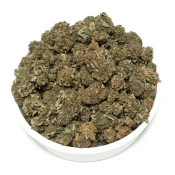 Alien Dawg