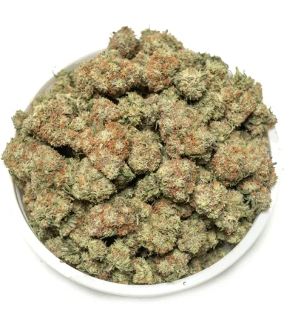 Big-Pile-of-Snow-White-marijuana-buds