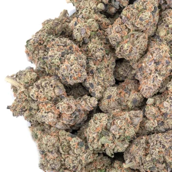Full stash of Blueberry Muffin cannabis