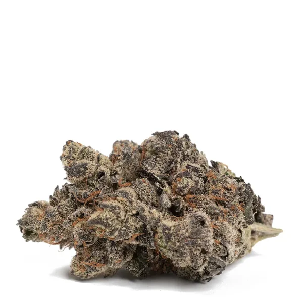 Black-Garlic-Strain