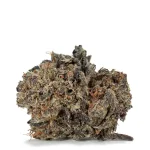 Black-Gas-strain