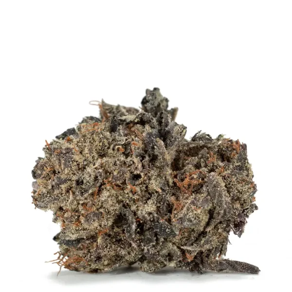Black-Gas-strain