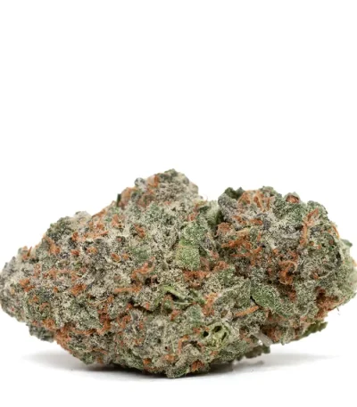 Blueberry muffin strain