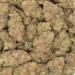 Cosmic Cherry strain macro closeup of densely packed, trichome-covered buds showing frosty texture and orange hairs.