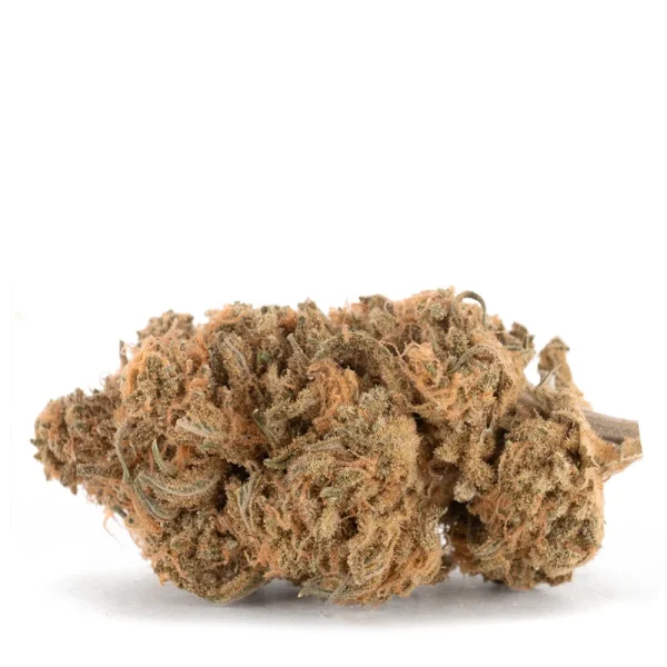Macro shot of Dutchberry cannabis showing sticky resin and trichomes