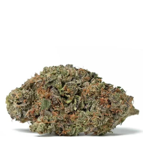 el chapo strain