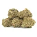 Five Orange Layer Cake buds resting together in a small pile with visible resin coating