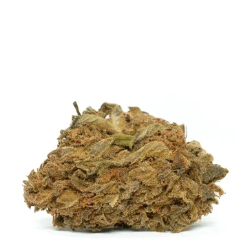 Forbidden-Fruit-Strain