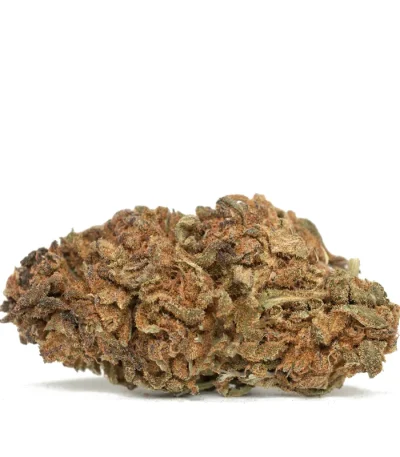 Forbidden-Fruit strain close up sticky trichome covered bud