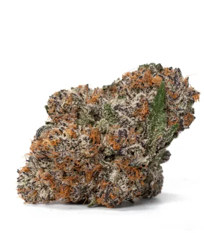 Gelato Cake strain rich colors and frosty texture