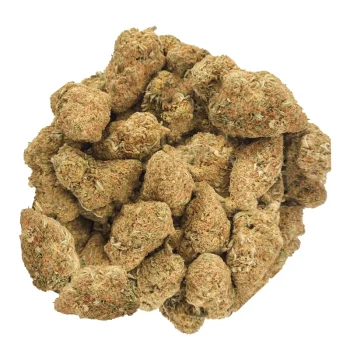 Girl-Scout-Cookies