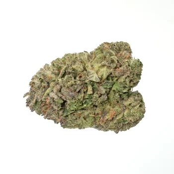 Greasy-Pink