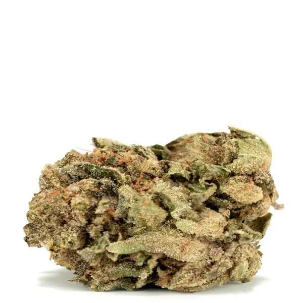 Hashplant-Haze-strain single bud