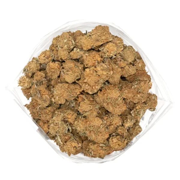 Island-Maui-haze-bulk-buds