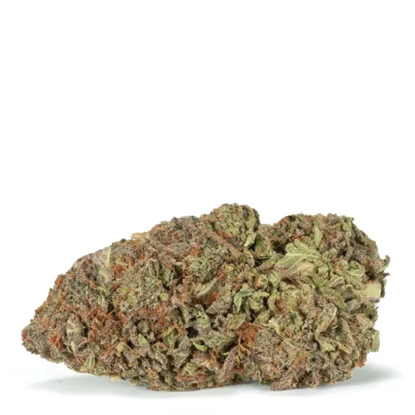 Jager-strain
