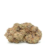 Jet-Fuel-Gelato-strain