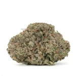 King-bubba-strain-close-up-showcasing-shiny-trichomes.webp