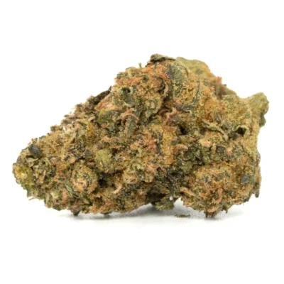 King Sherb strain bud close-up showing sage-green calyxes amber hairs and heavy trichome coverage