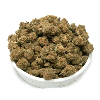 Large-bowl-of-Cannalope-Haze-Weed