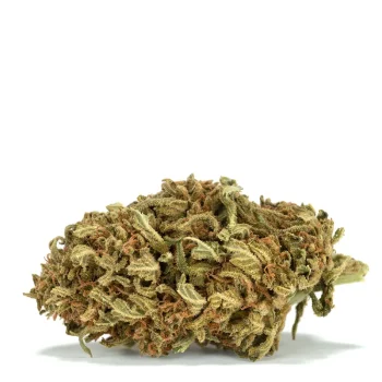 Lemon-Kush