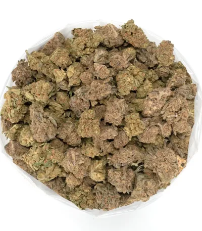Lilac-Diesel-Bulk