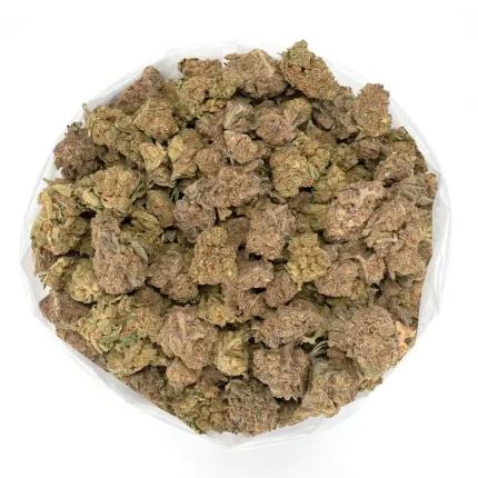 Lilac-Diesel-Bulk