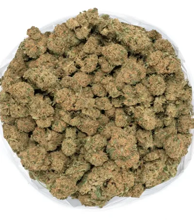 Melon-Dream-bulk-bag-photo