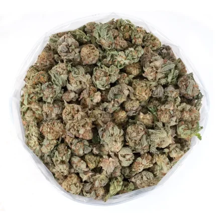 Mimosa-strain-marijuana-buds