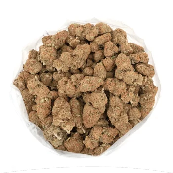 Orange-Crush strain