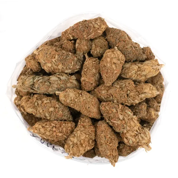 Orange-Dream-Bulk