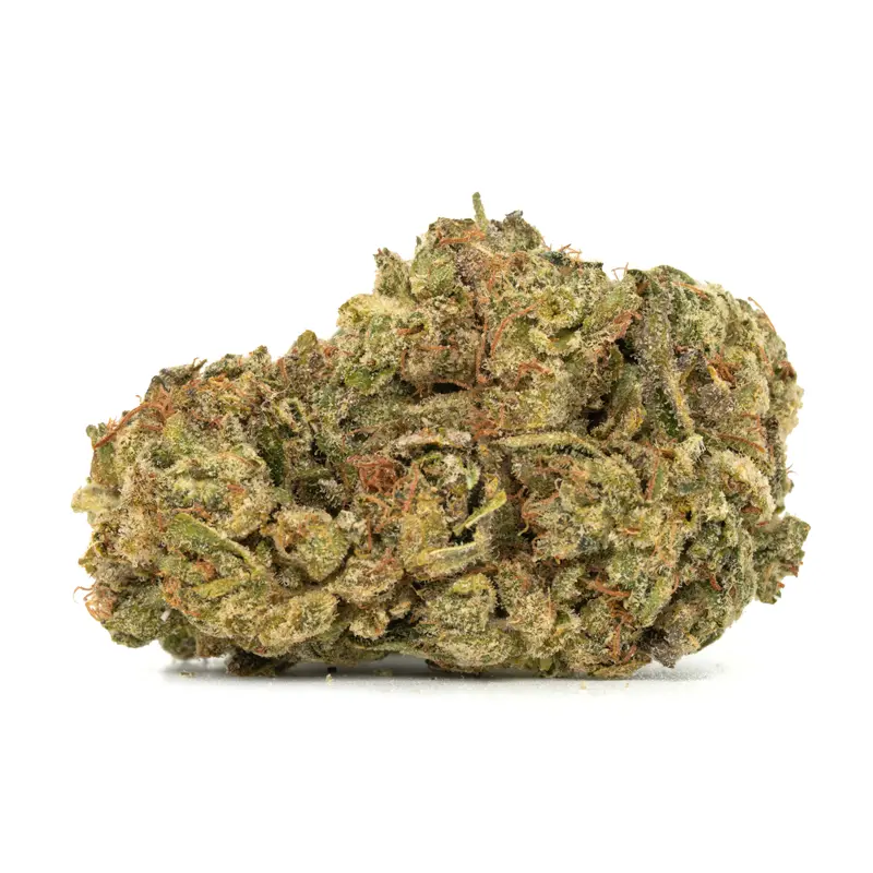 Orange Layer Cake strain bud with visible trichomes and rust colored hairs Orange Layer Cake strain bud with visible trichomes and rust colored hairs