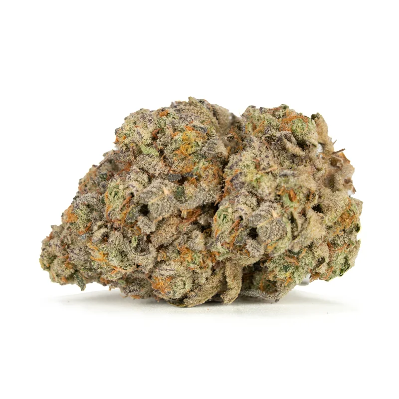 Oreoz strain premium bud Oreoz strain premium bud