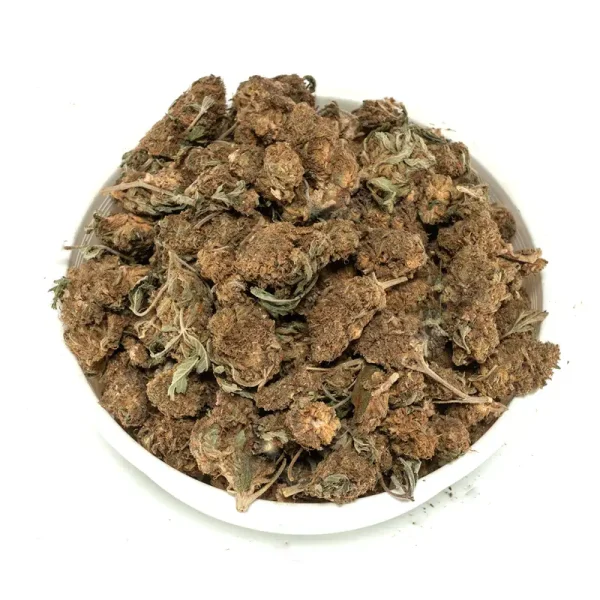 Panama-Red