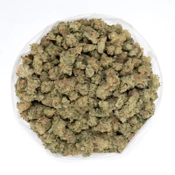 Pennywise-strain