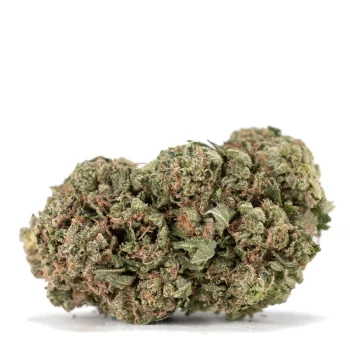 Pink-Kush