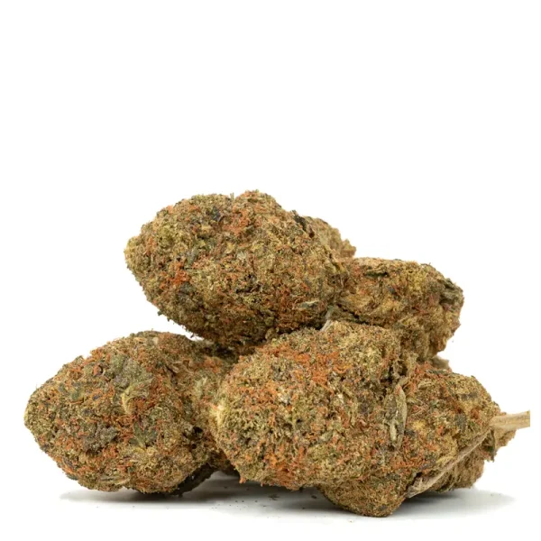 Pink-Og-3-buds